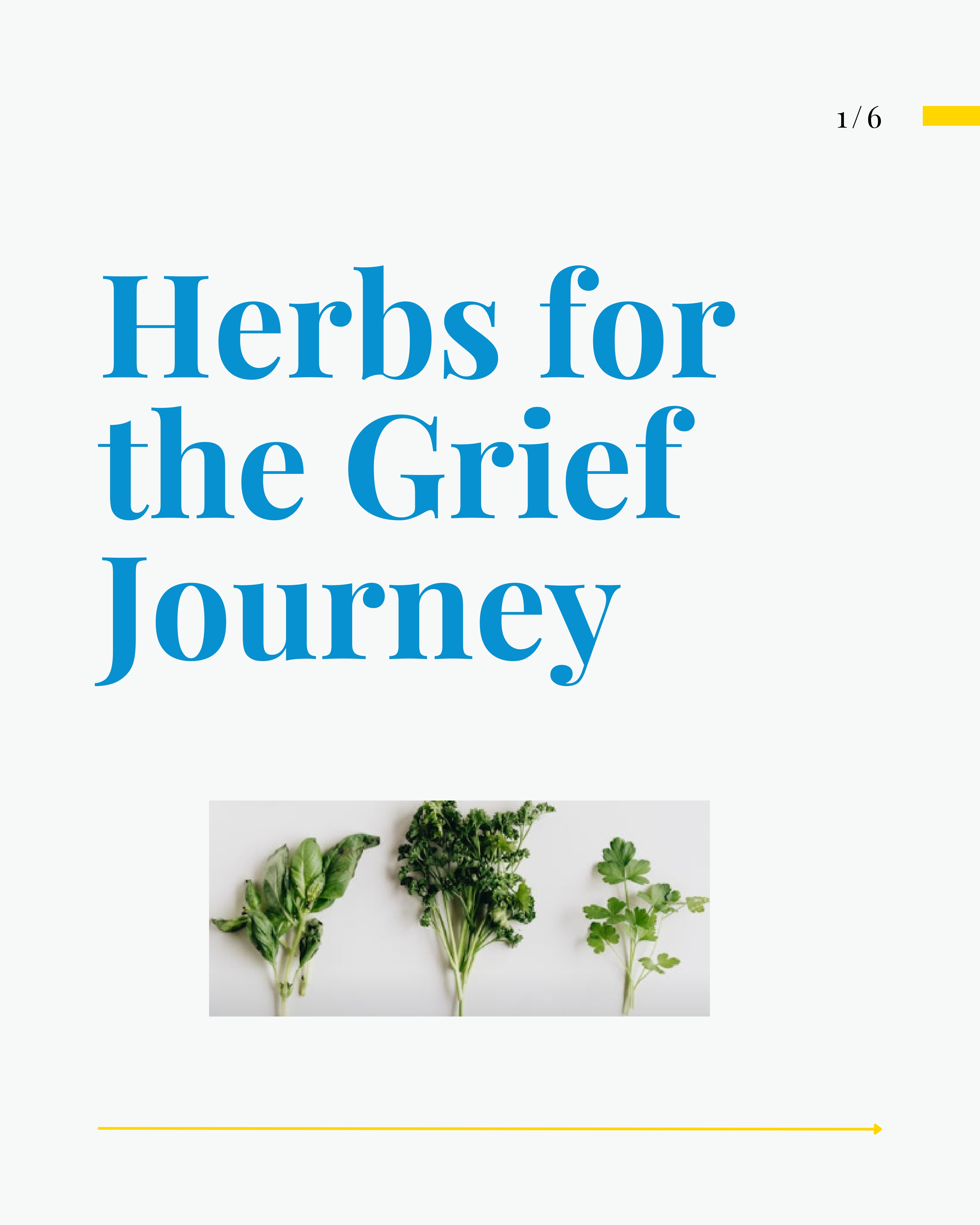Herbs for Grief Journey